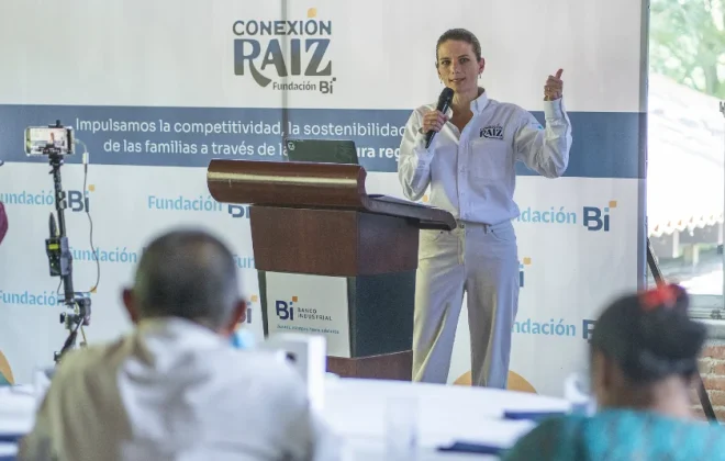 conexion raiz fundacion bi 1