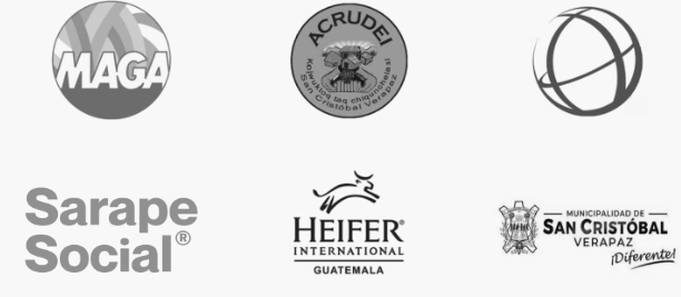 Aliados-institucionales-Conexión-Raiz