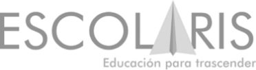 escolaris-nunca_es_tarde-fundacion-bi