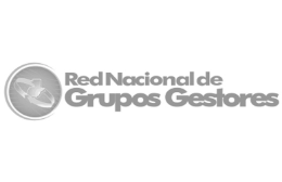 grupo-de-gestores-fundacion-bi