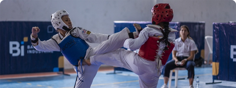 Taekwondo